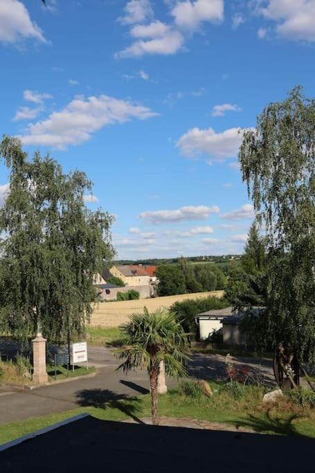 Ferienwohnung Weingut Lahmer August Kretzschau Bagian luar foto